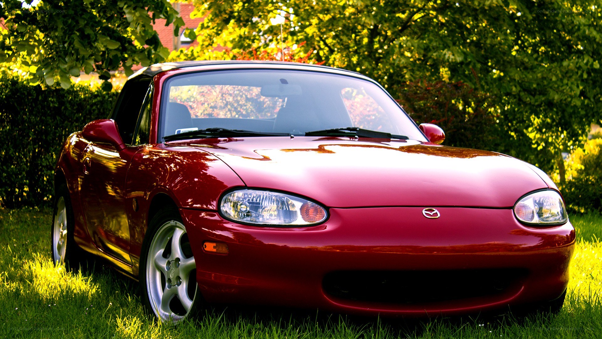 Red Mazda Miata on grass