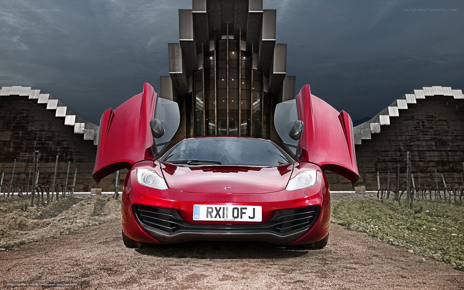 Red McLaren in a vineyard