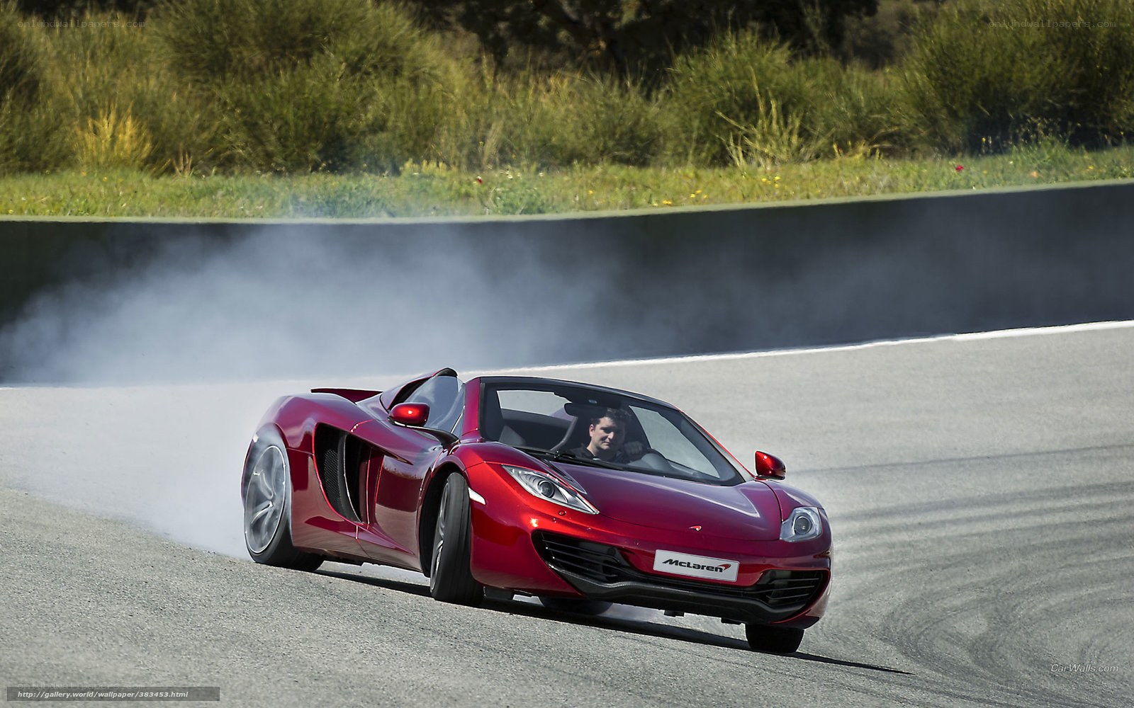 Red McLaren on a racetrack