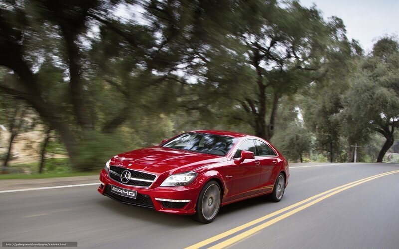 Red Mercedes-AMG on a tree-lined road