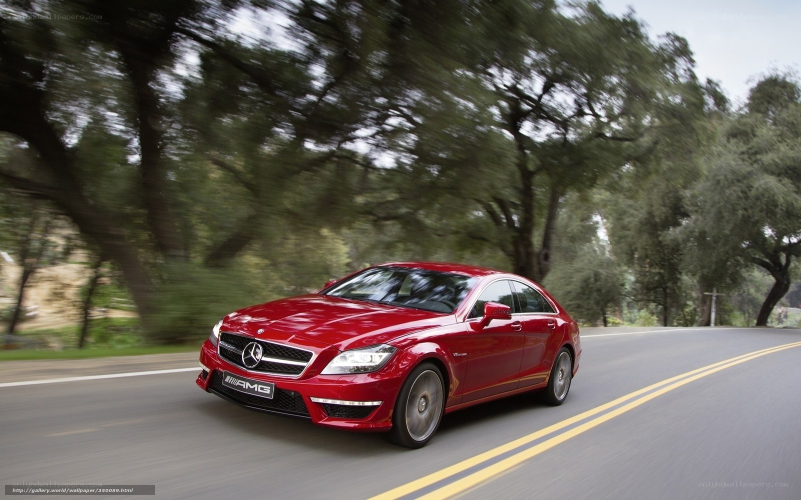 Red Mercedes-AMG on a tree-lined road
