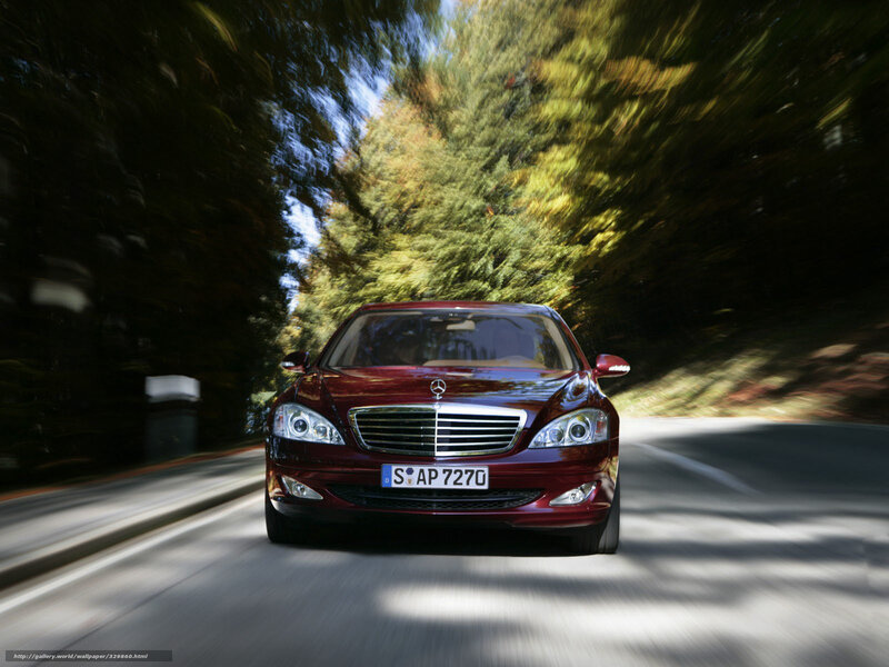 Red Mercedes-Benz S-Class driving on a forest road