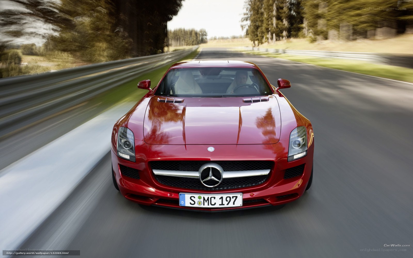 Red Mercedes-Benz SLS AMG on track