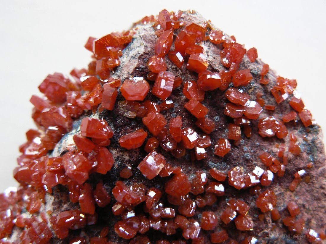 red mineral crystals on rock