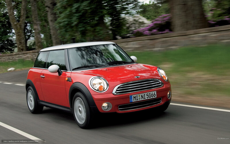 Red Mini Cooper Car — Dynamic, Afternoon, Photograph, Road, Trees