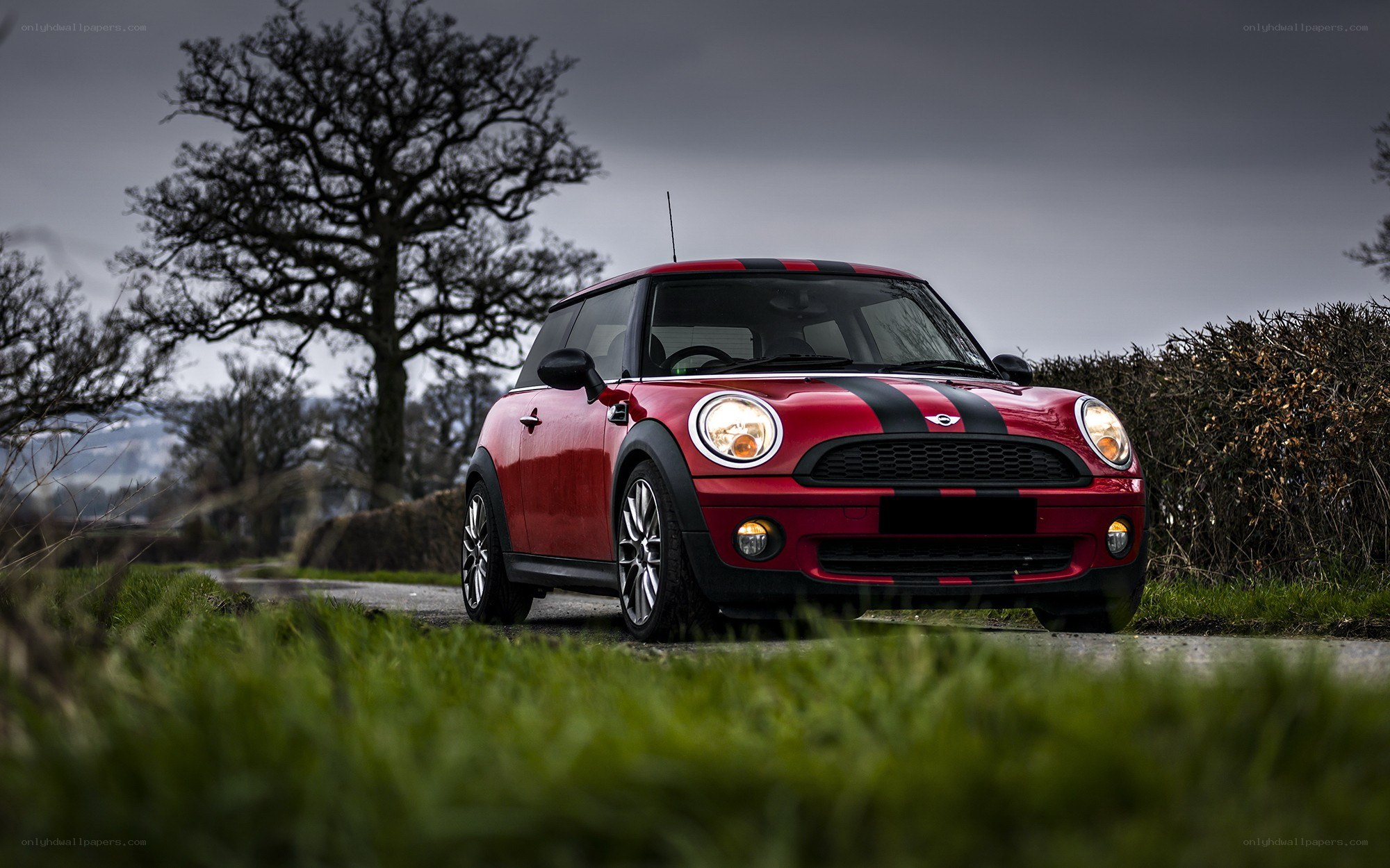 Red Mini Cooper on a country road