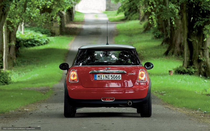Red Mini Cooper on a tree-lined road