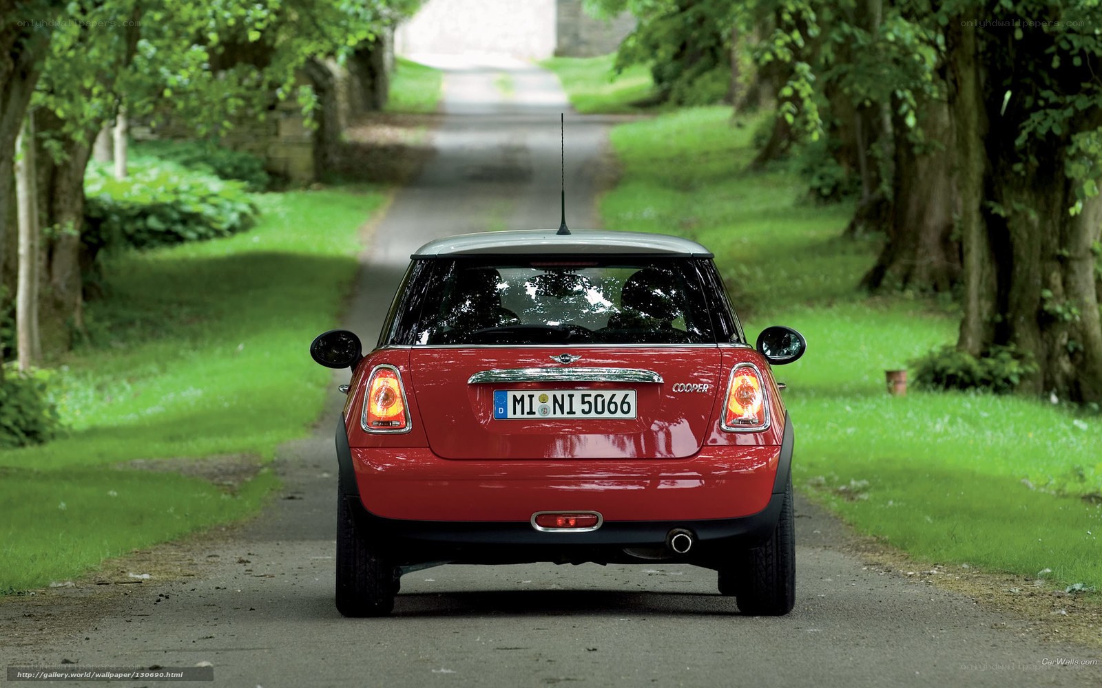 Red Mini Cooper on a tree-lined road