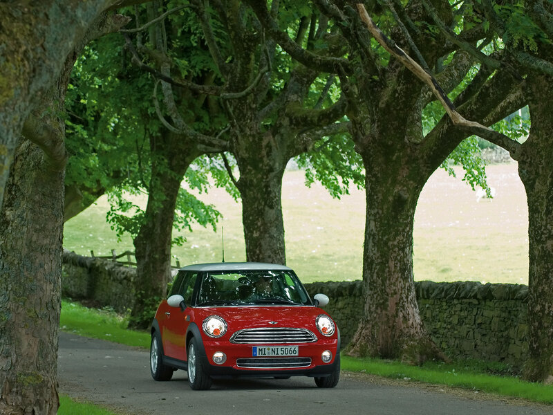 Red Mini driving on a tree-lined road