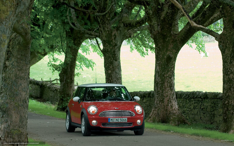 Red Mini driving on a tree-lined road