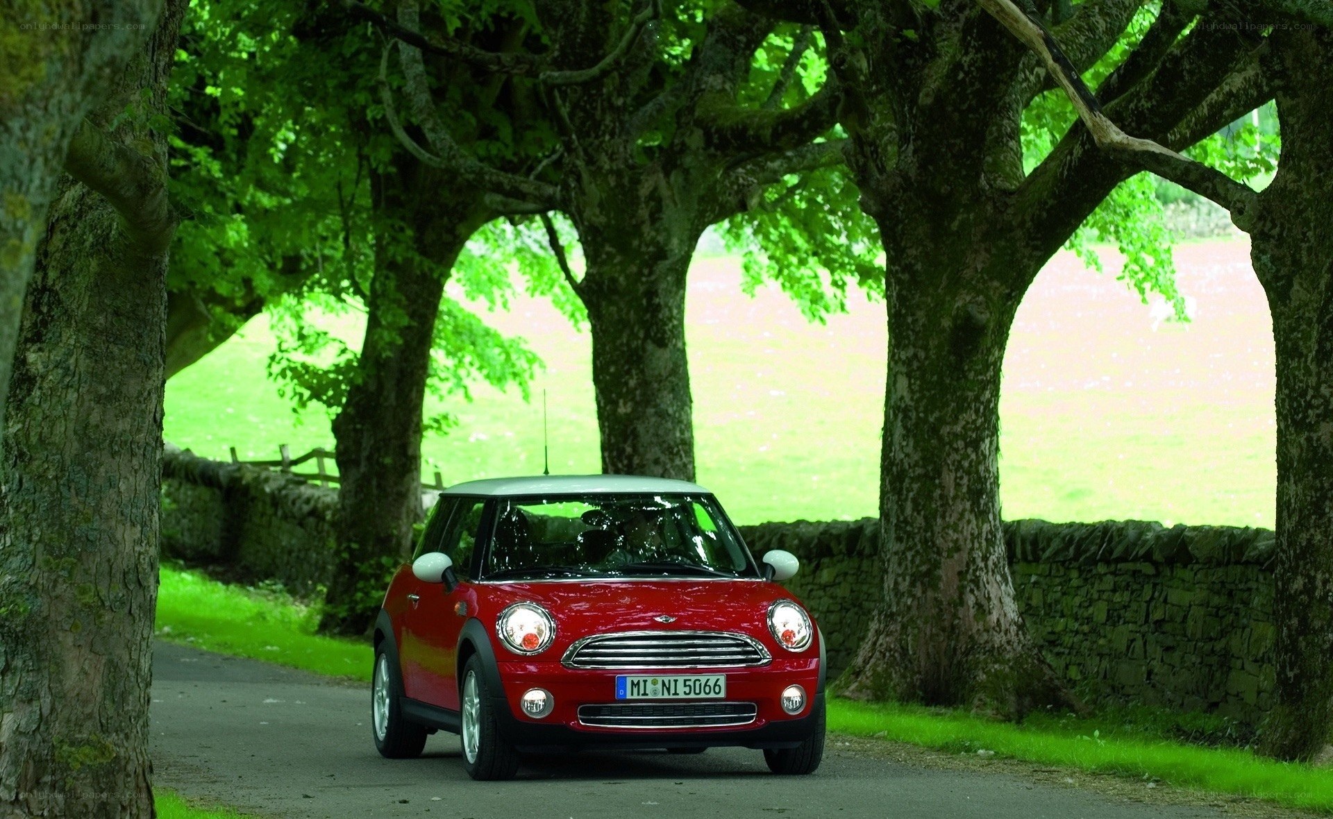 Red Mini on a tree-lined road