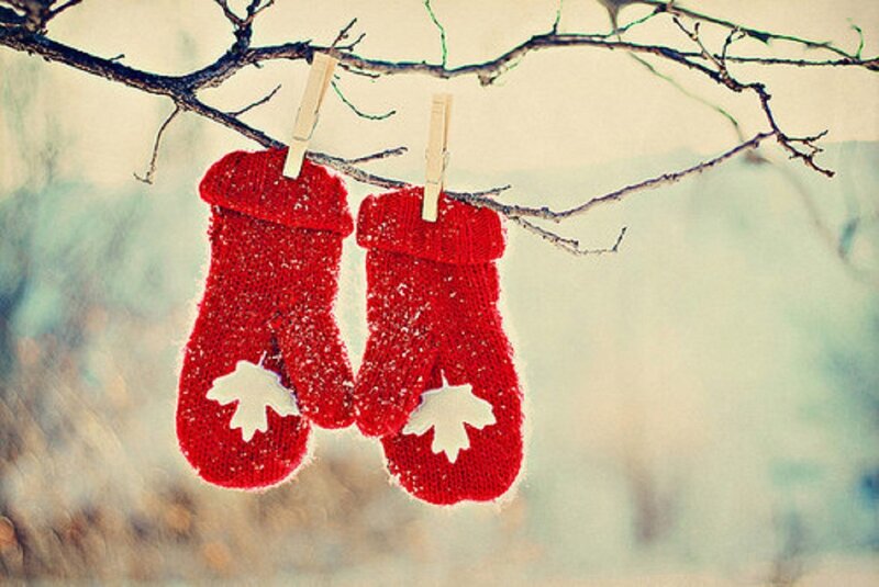 Red Mittens on Branch — Calm