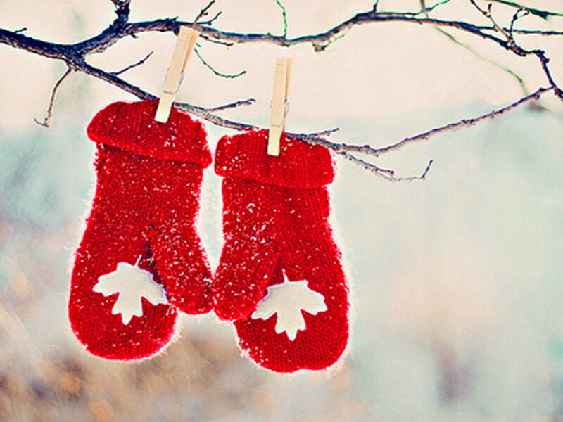 Red Mittens on Branch — Calm, Winter