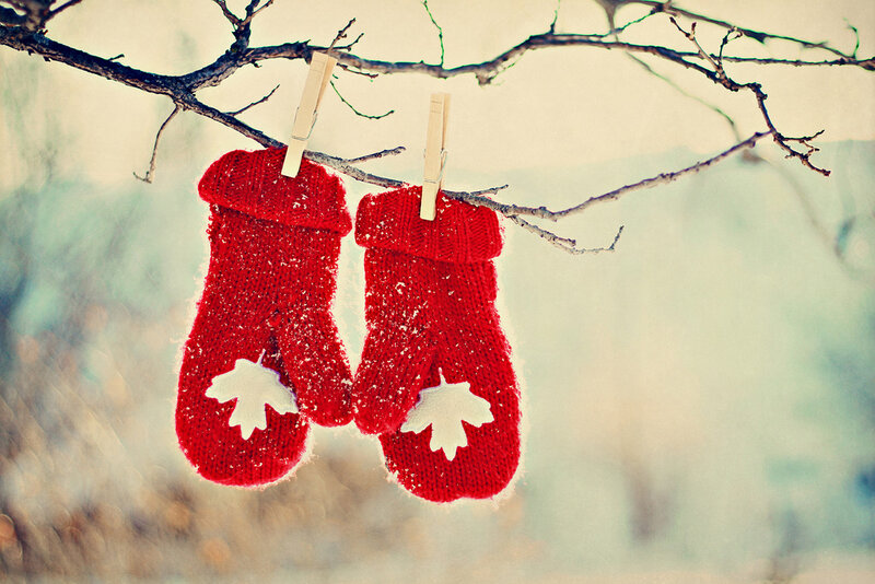 Red Mittens on Branch