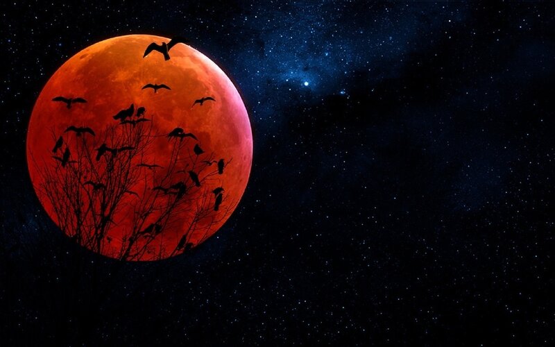 Red Moon and Birds