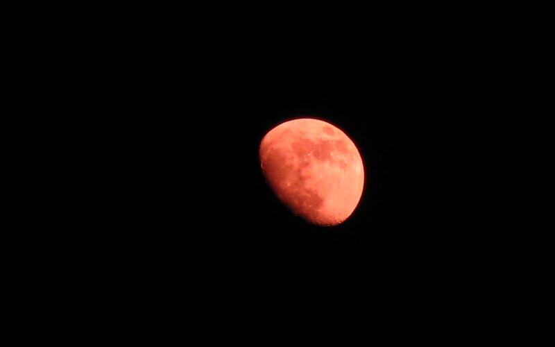Red Moon in Night Sky — Black