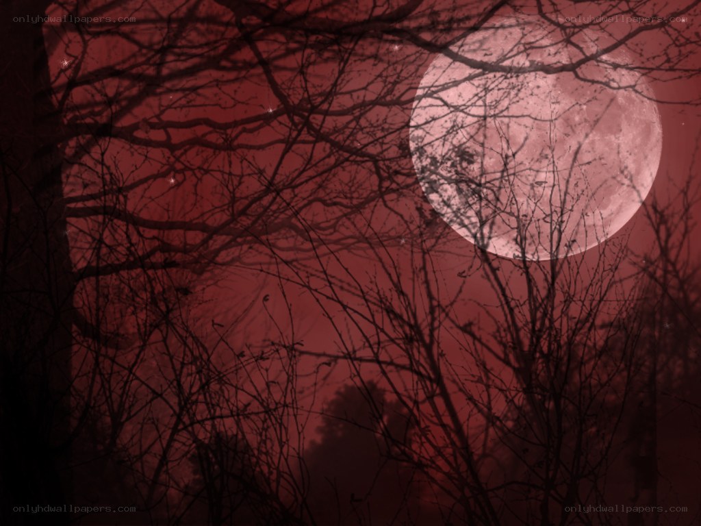 red moon over bare trees