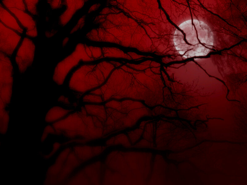 Red moon over bare trees