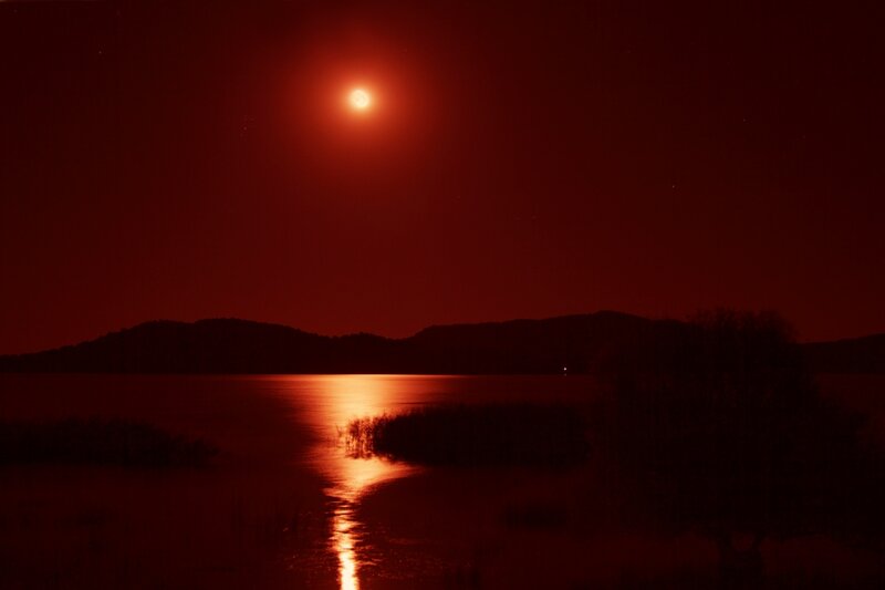 Red Moon over Lake