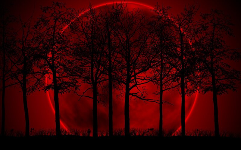 Red moon over silhouetted trees