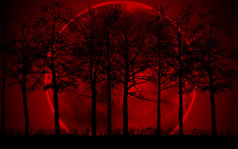 Red moon over silhouetted trees