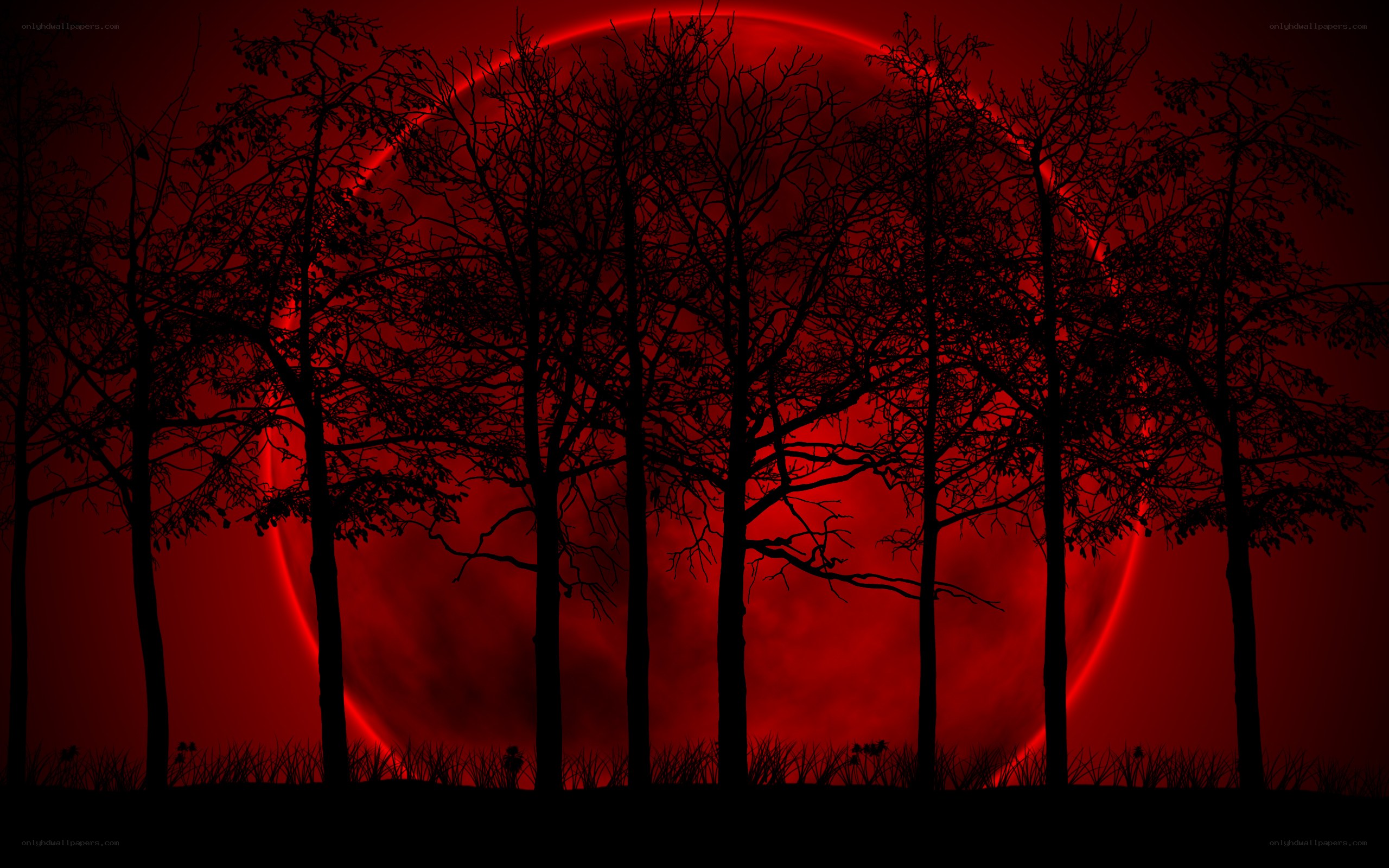 Red moon over silhouetted trees