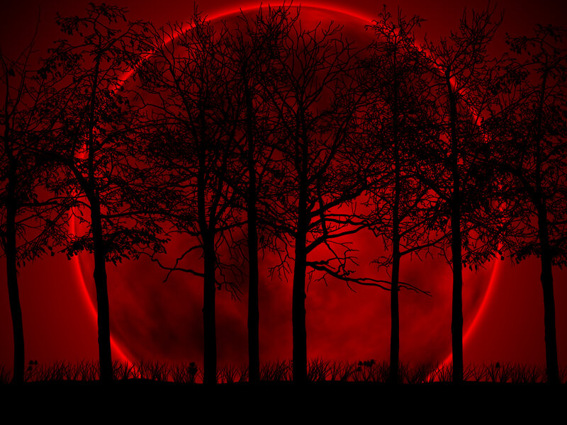 Red moon over silhouetted trees