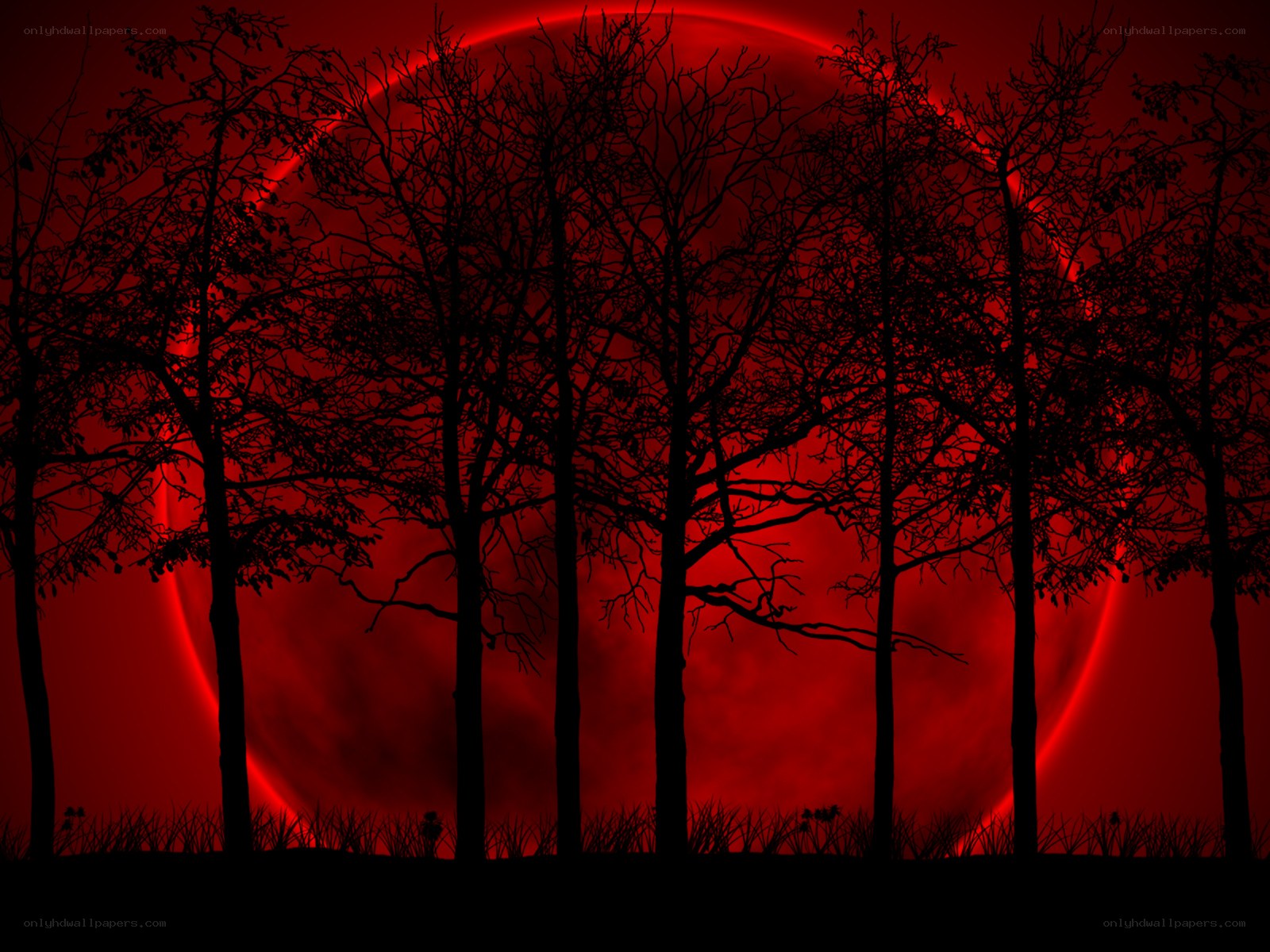 Red moon over silhouetted trees
