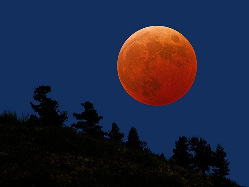 Red moon over trees