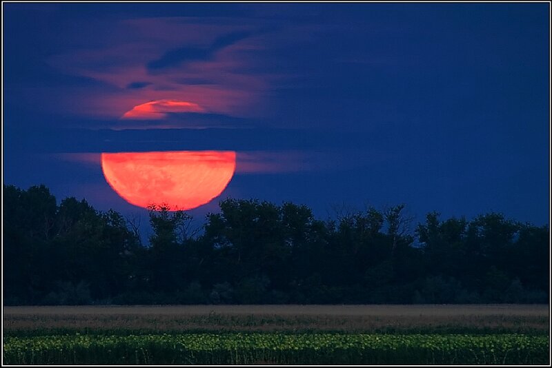 Red Moon Rising