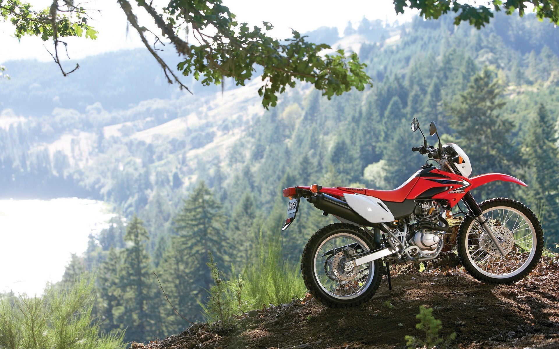 Red motorcycle on a forest hill