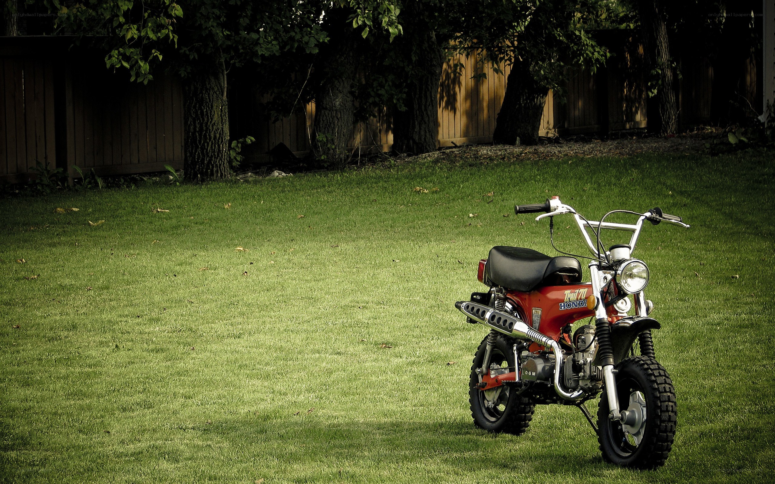 Red motorcycle on a grassy lawn
