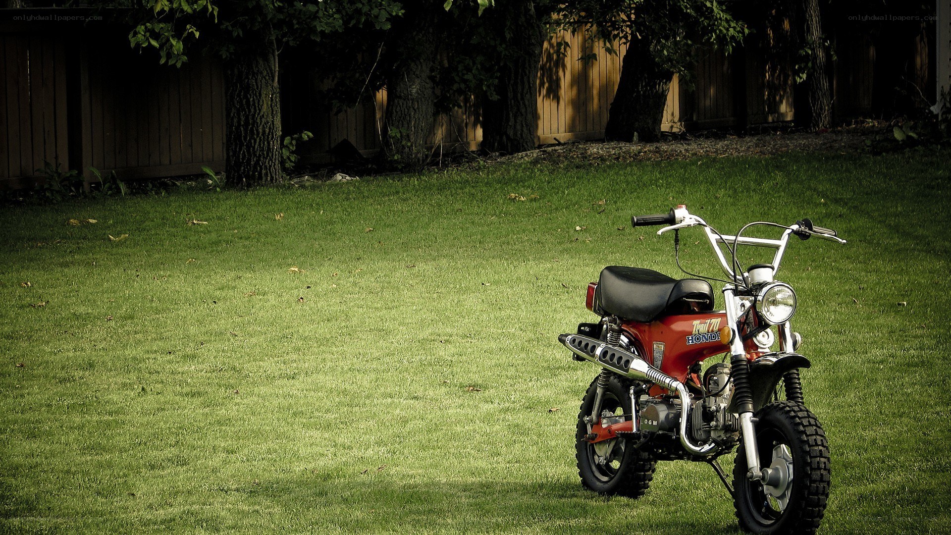 Red motorcycle on a grassy lawn