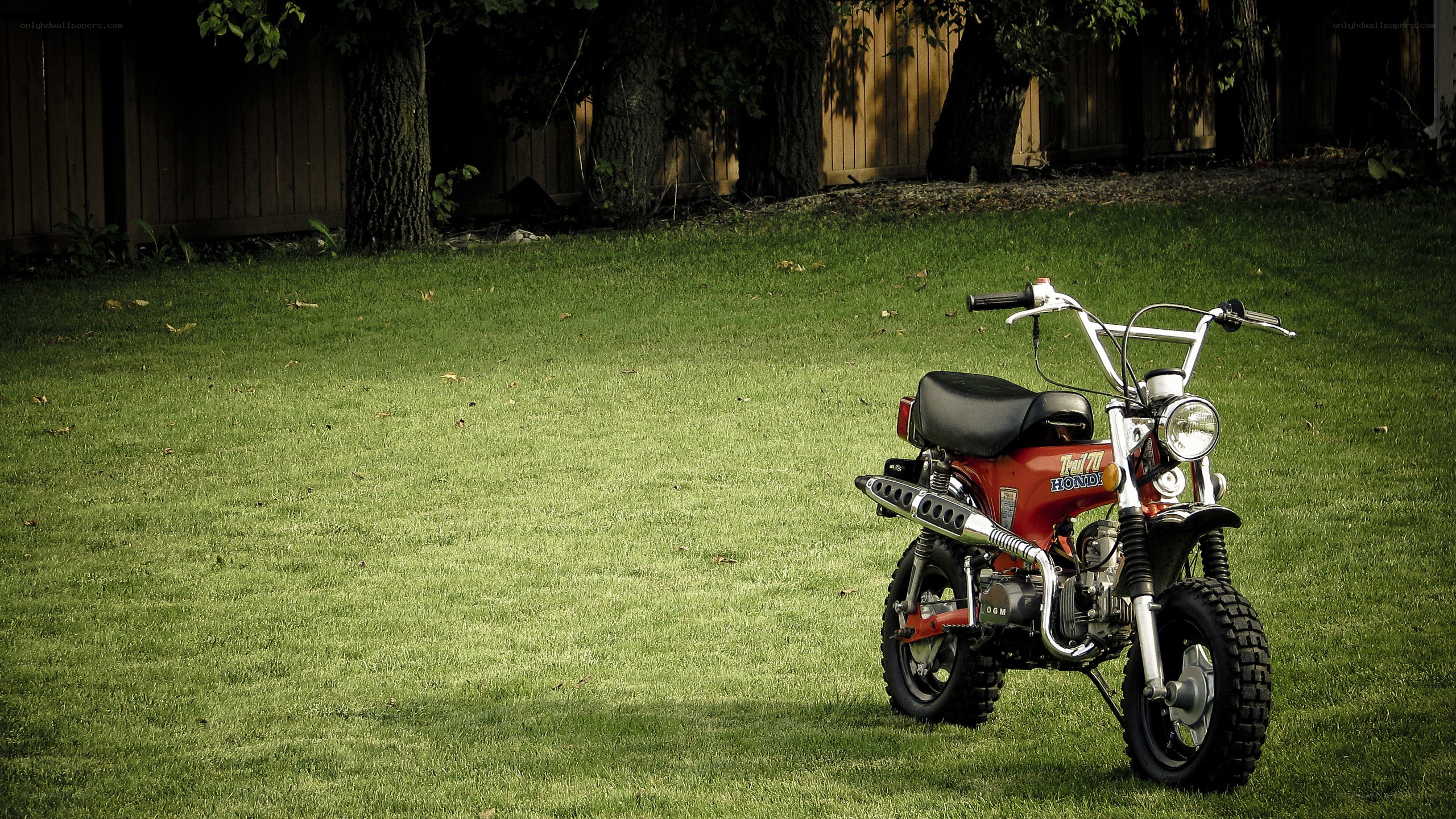 Red motorcycle on a lawn