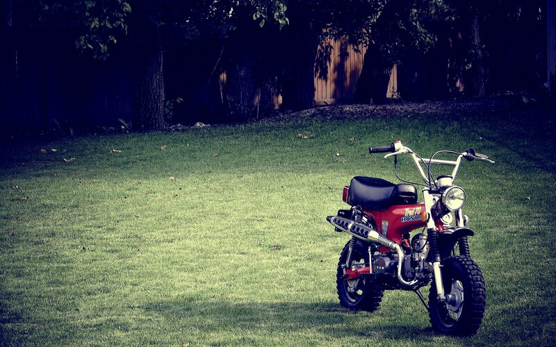 Red motorcycle on grass