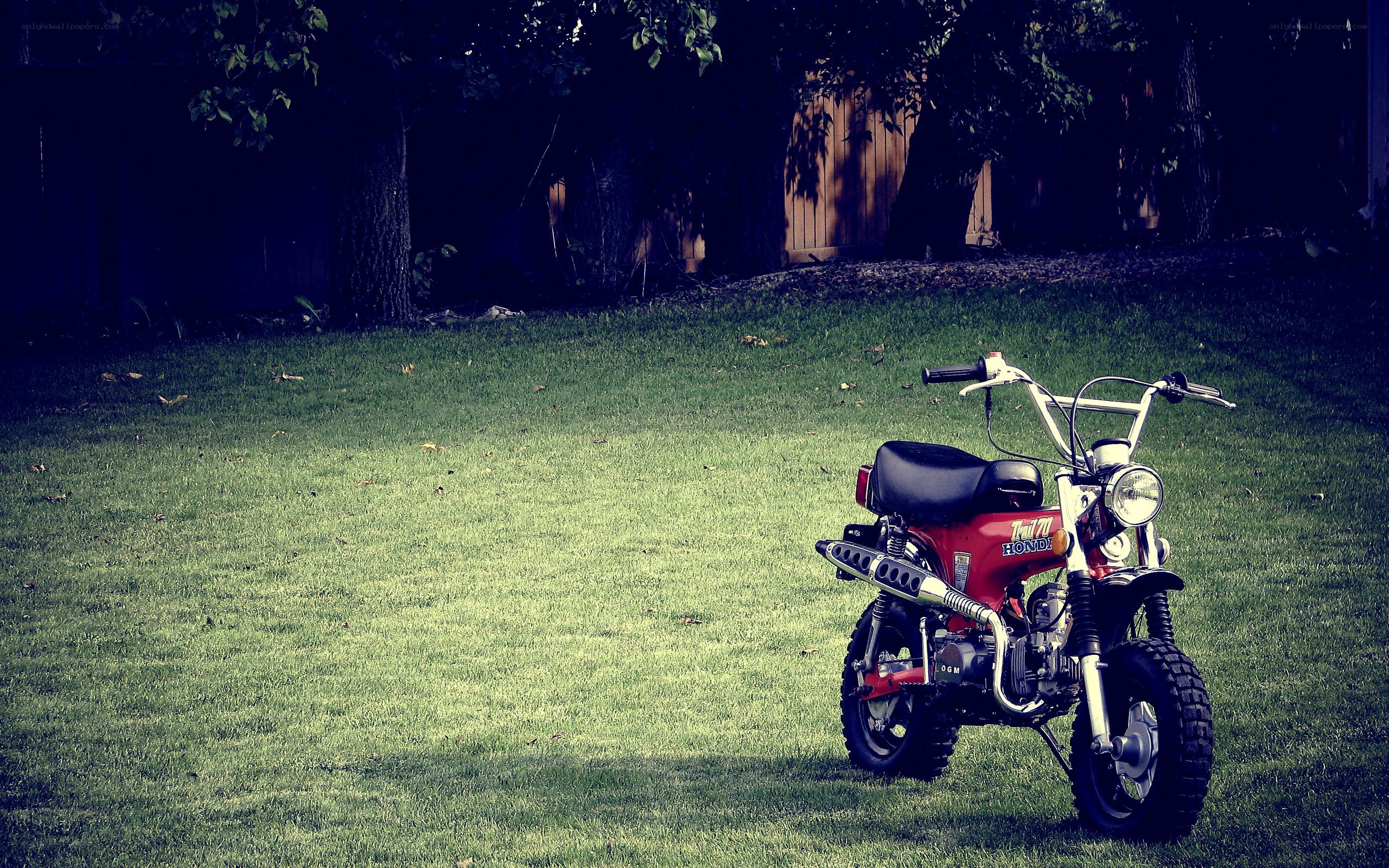 Red motorcycle on grass