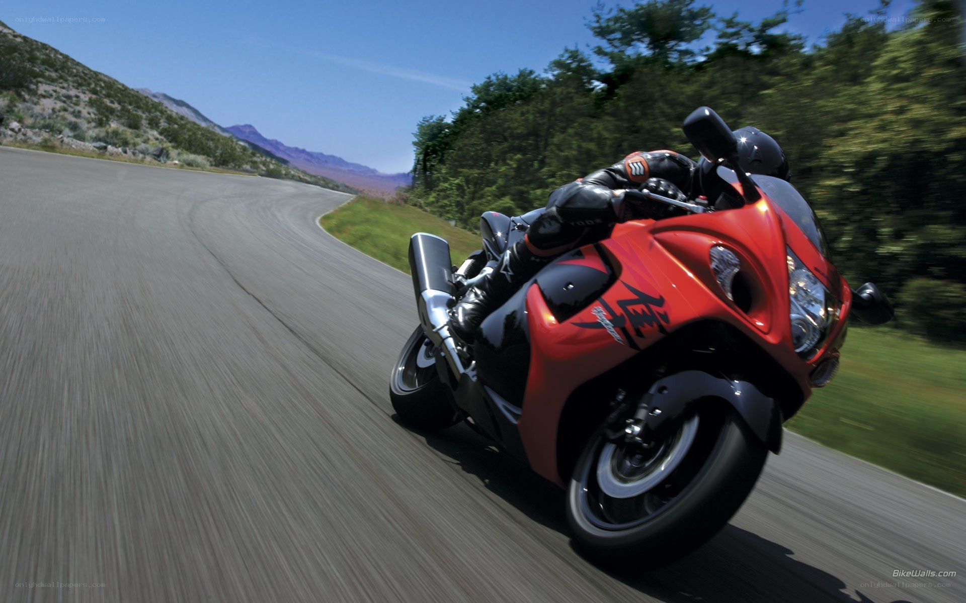 red motorcycle on winding road