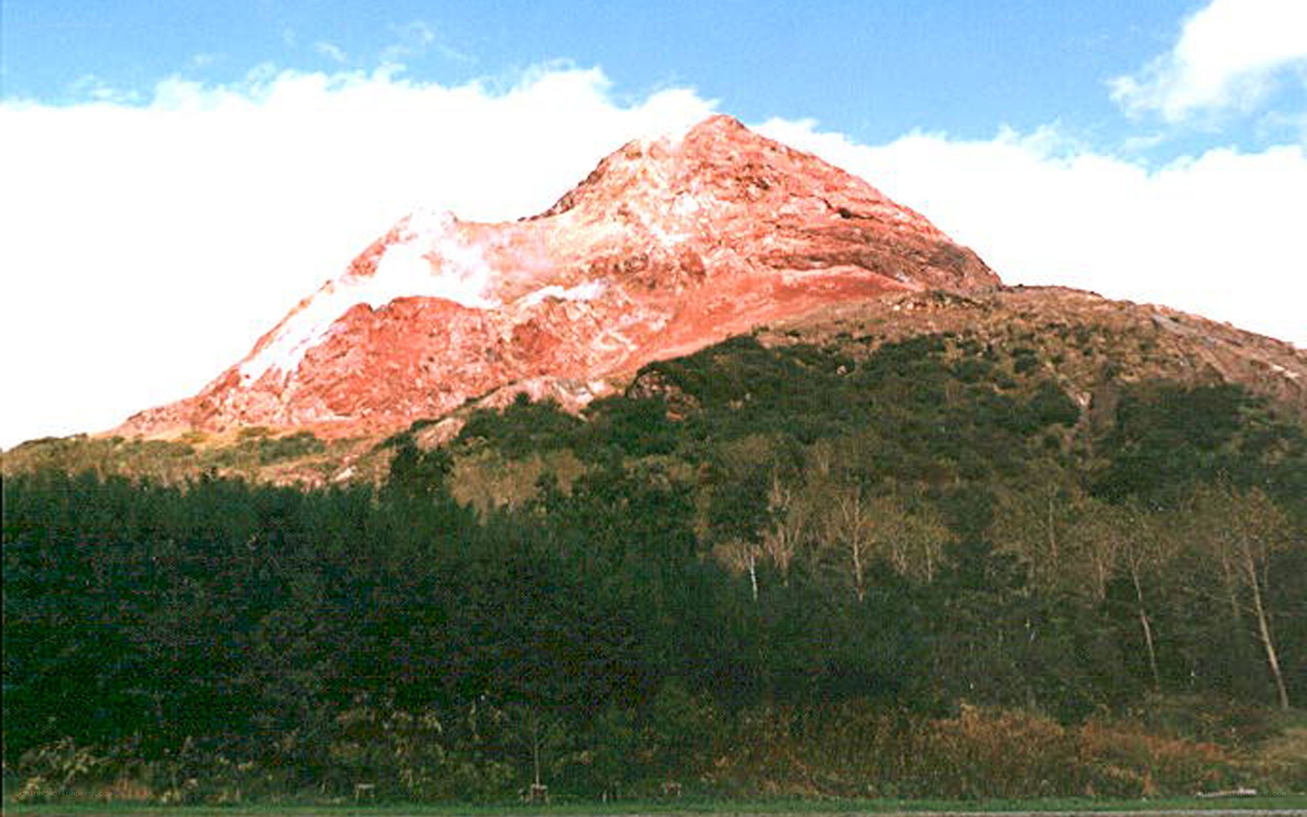 Red mountain with forest