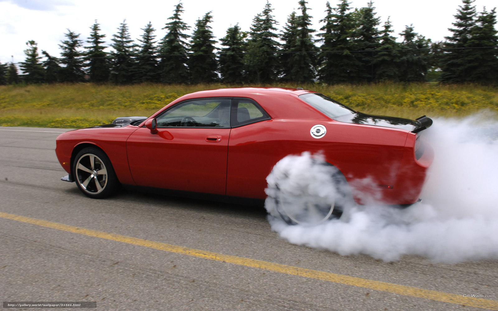 Red muscle car burnout