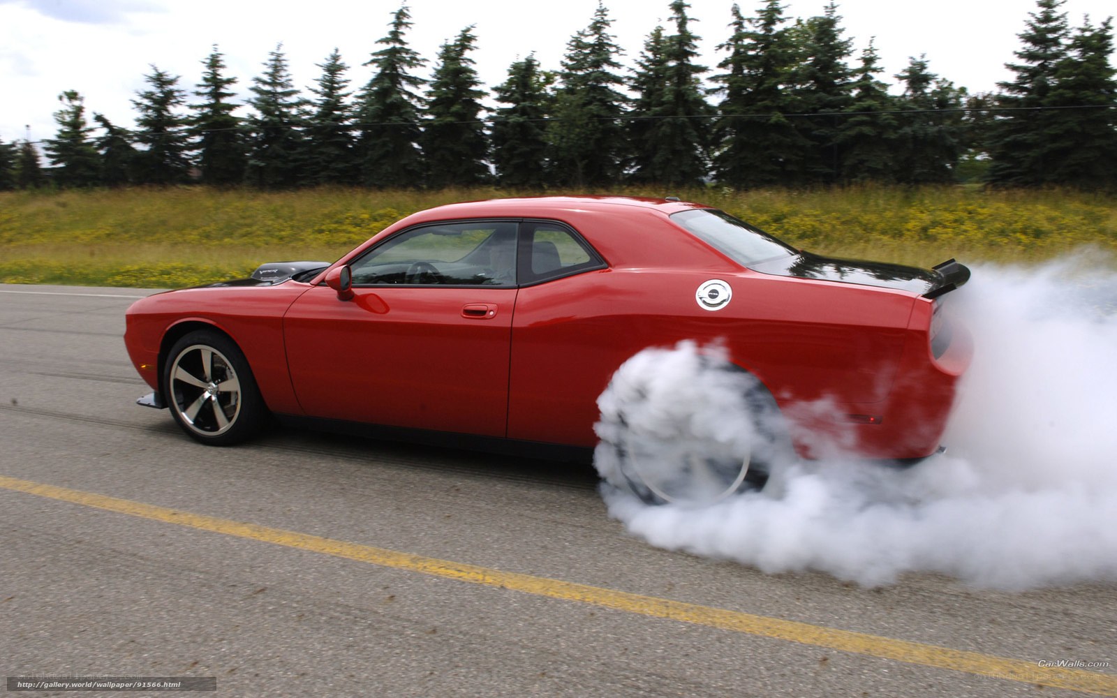 Red muscle car burnout