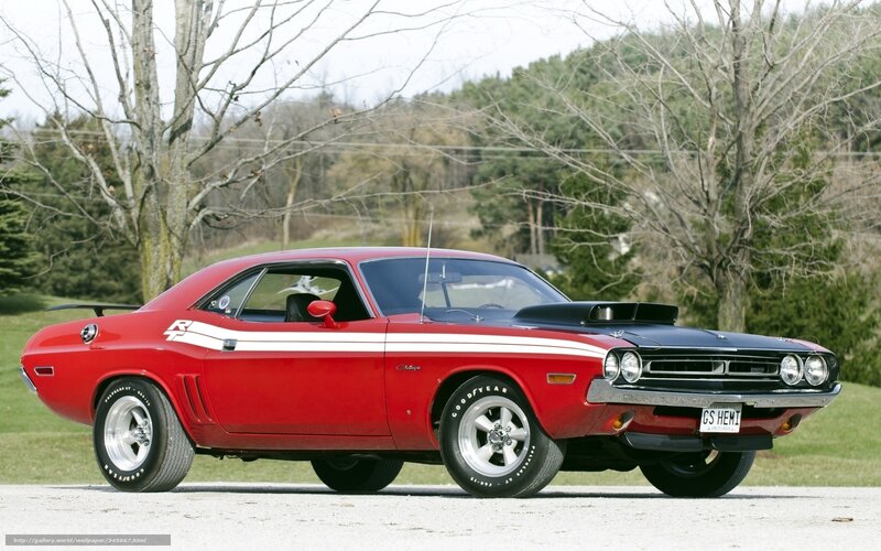 Red Muscle Car — Calm, Spring, Photograph, Trees, Grass