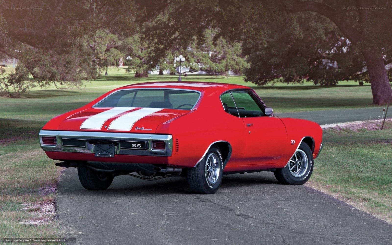Red muscle car in park