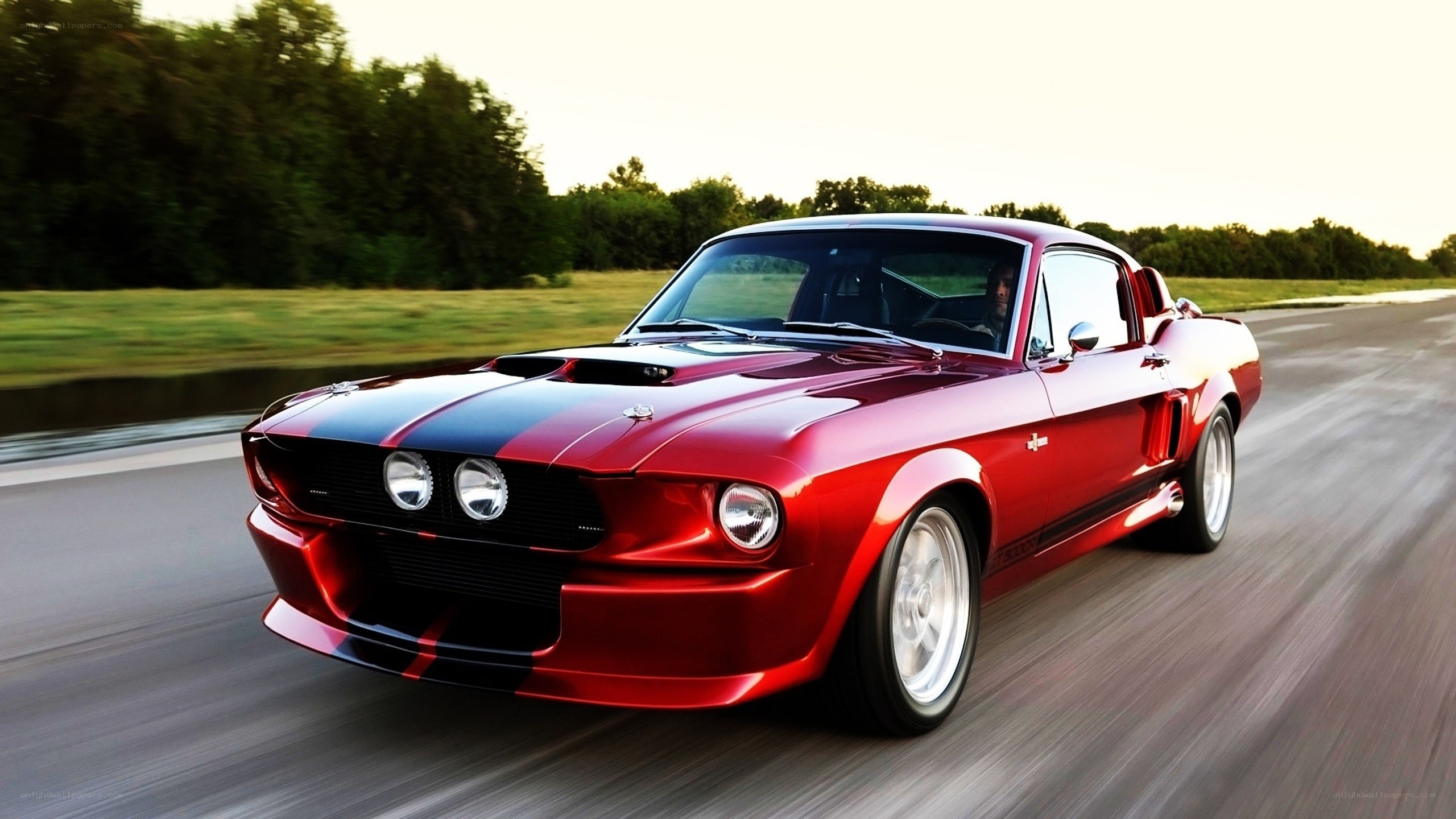 Red muscle car on a road