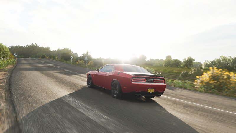 Red Muscle Car on Road — Serene