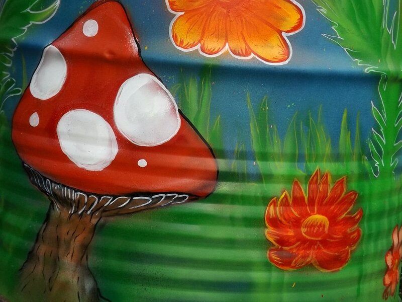 Red Mushroom in Grass — Green, Colorful