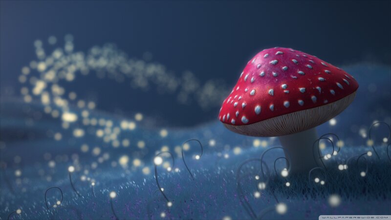 Red Mushroom with White Spots — Serene