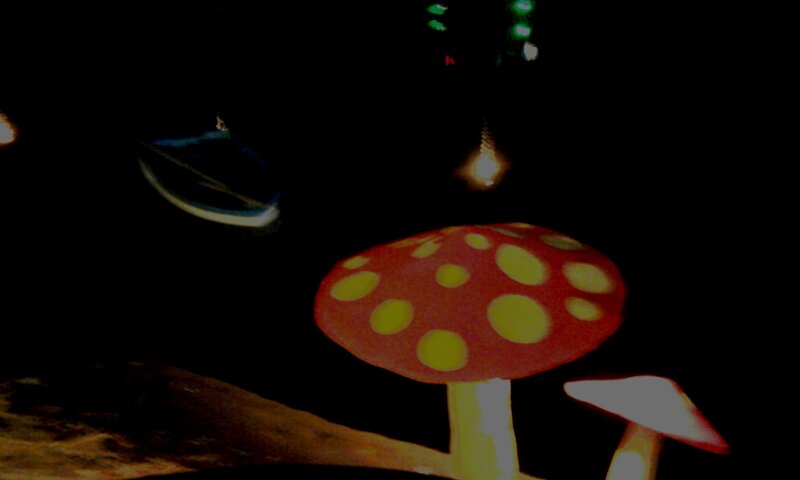 Red Mushroom with Yellow Spots
