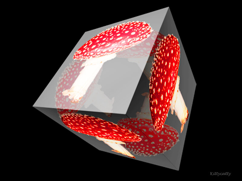 Red Mushrooms in Cube