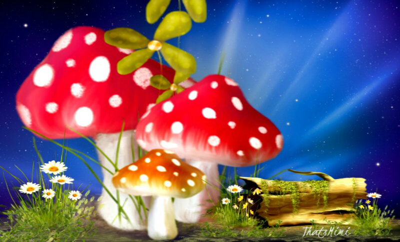 Red Mushrooms in Forest — Blue