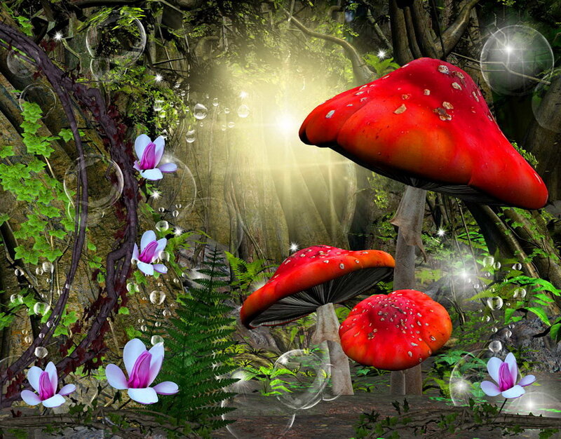 Red Mushrooms in Forest — Magical, Morning